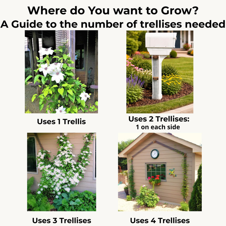 Deck Post Trellis for Clematis and Climbing Plants, 2 Unit, Scroll Trellis