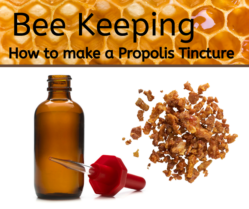 Making A Propolis Tincture Beat Your