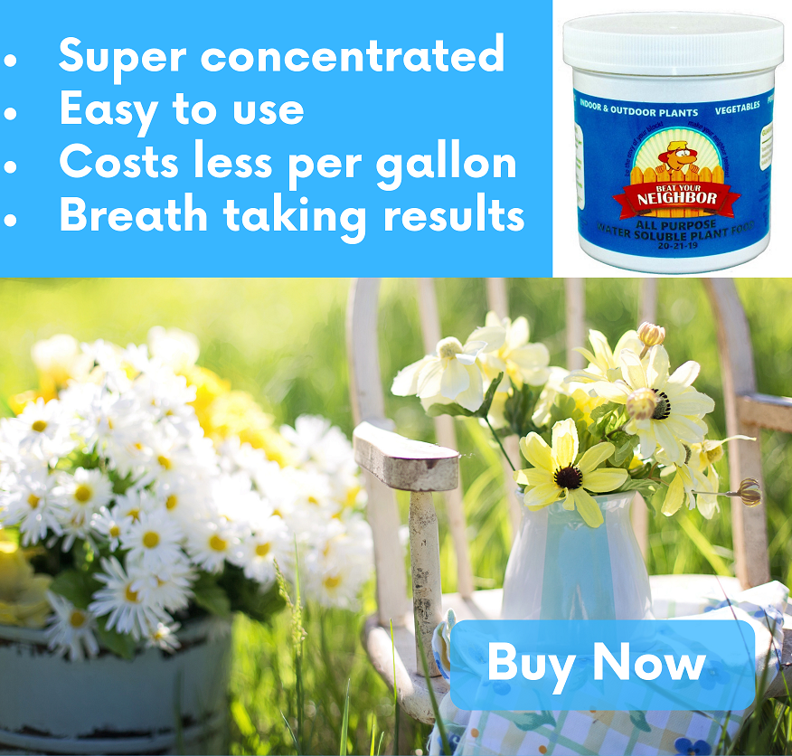 Beat Your Neighbor fertilizer