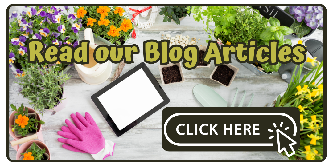 Read our blog articles