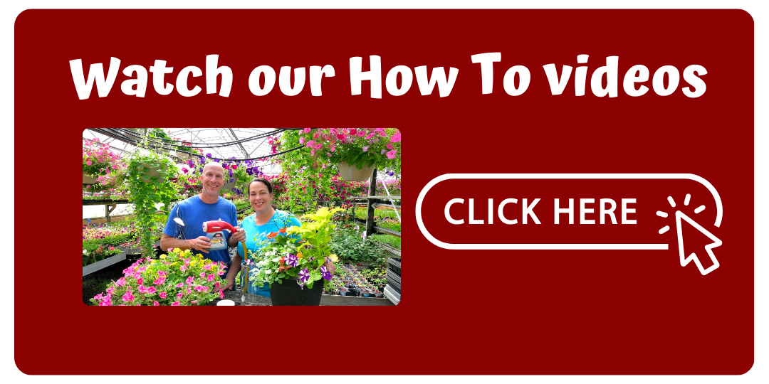 Watch our How To videos