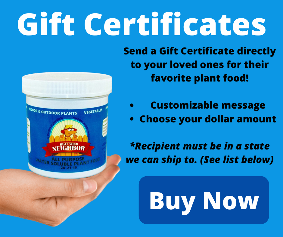 Buy Gift Certificate