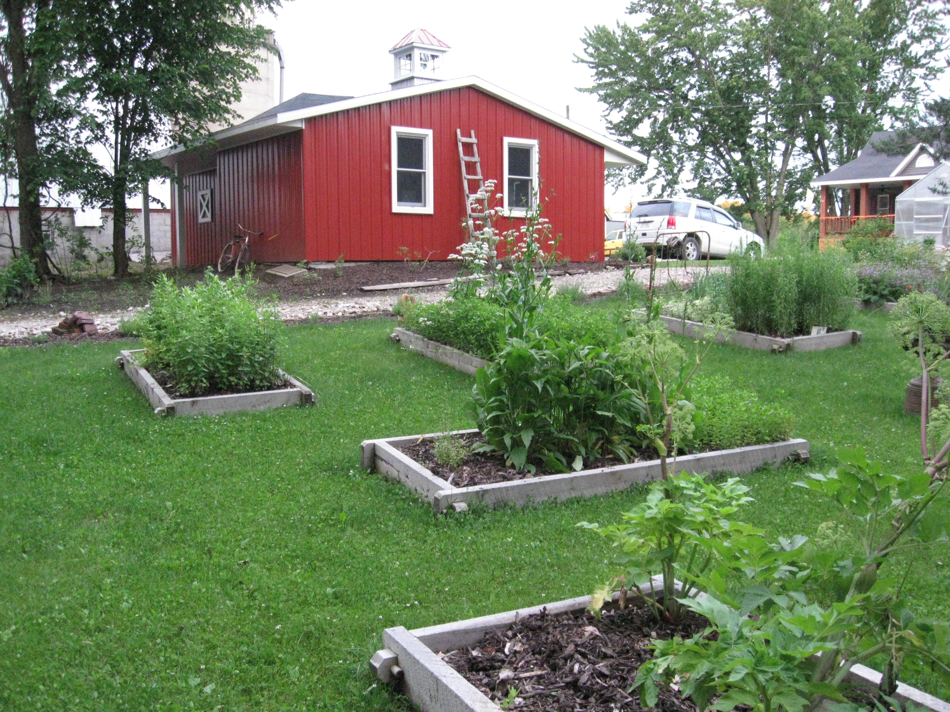 Top 5 Benefits of Raised Beds for Your Herb Garden - Beat Your Neighbor