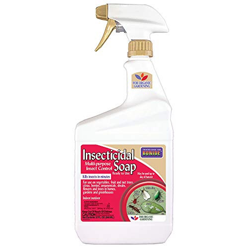 Bonide Insecticidal Soap, 32 oz Ready-to-Use Spray Multi-Purpose Insect  Control for Organic Gardening Indoor and Outdoor
