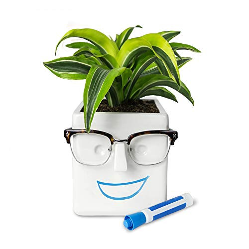 30 Watt Face Plant, Novelty Planter Holds Small Plants, Glasses & You Can  Draw on It. Elegant Ceramic Pot for Succulents, Cacti or Your Average Fern,  Perfect Gifting