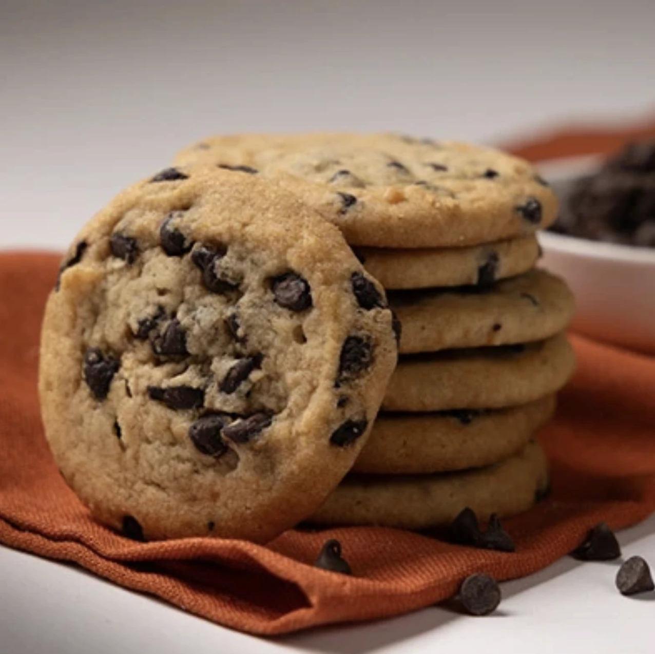 Sugar Free Chocolate Chip