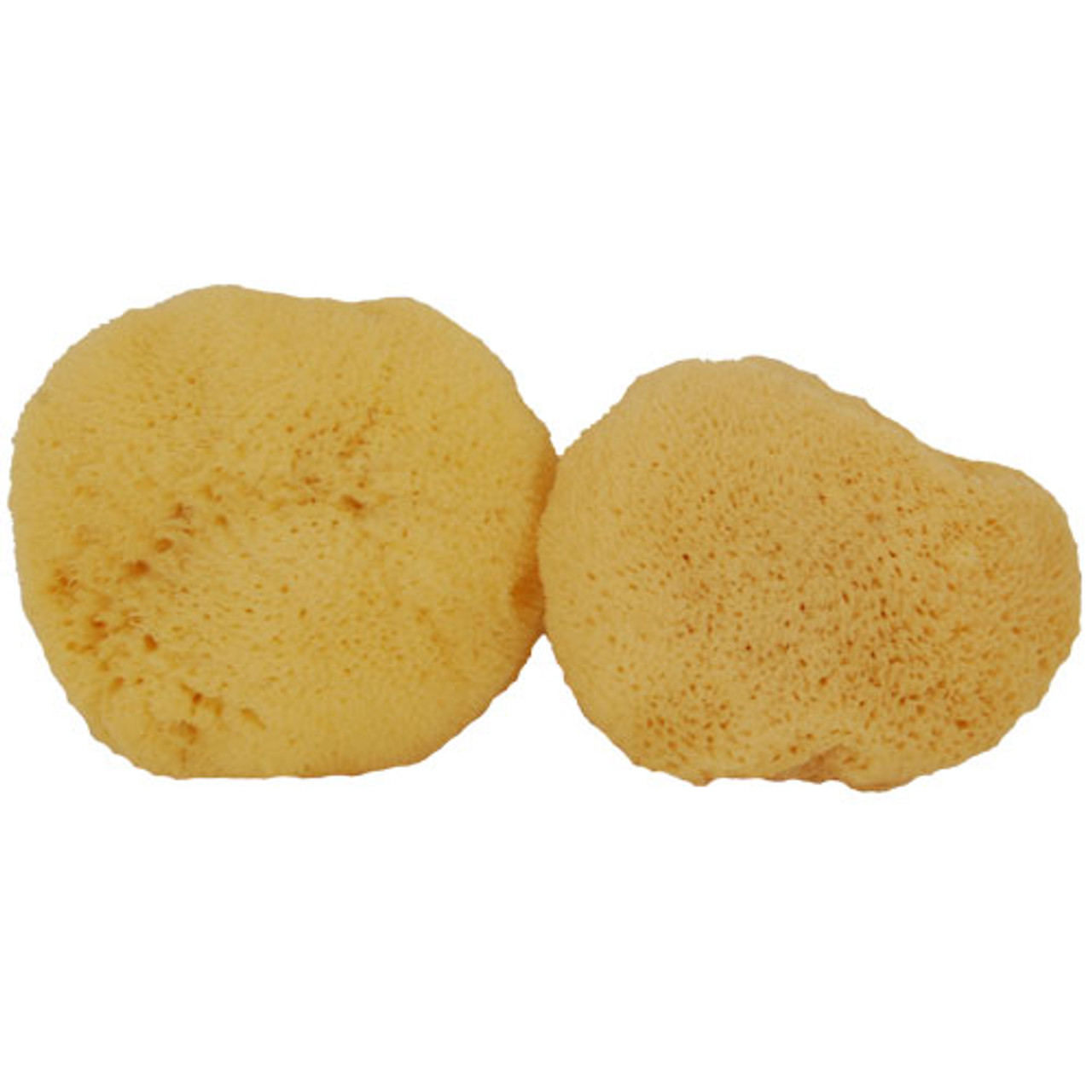 WHOA. Ultra Soft & Really Really Big Sea Wool Bath Sponge - Jade and Pearl