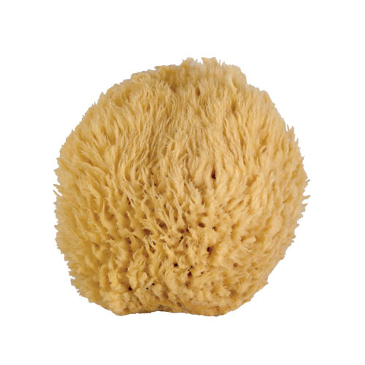 WHOA MAMA! Ultra Soft & Luxurious Medium Sea Wool Bath Sponge