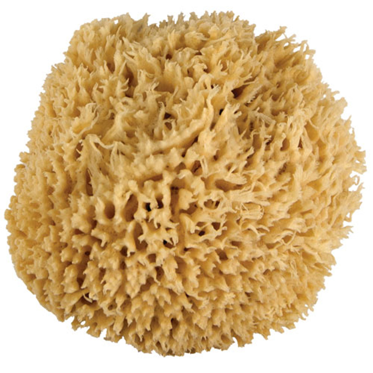 WHOA. Ultra Soft & Really Really Big Sea Wool Bath Sponge
