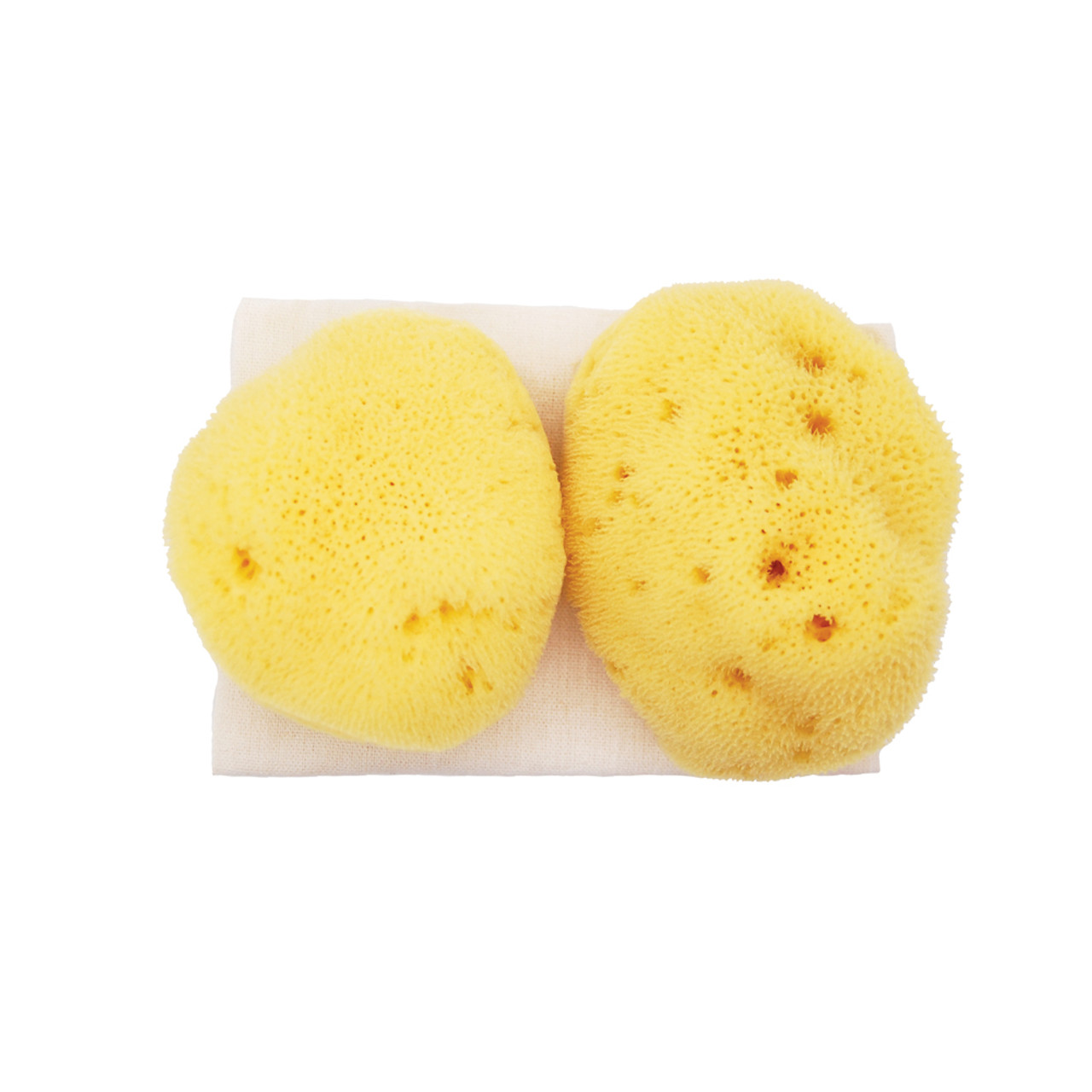 Big Squeeze Body Sponge, Natural Sponges