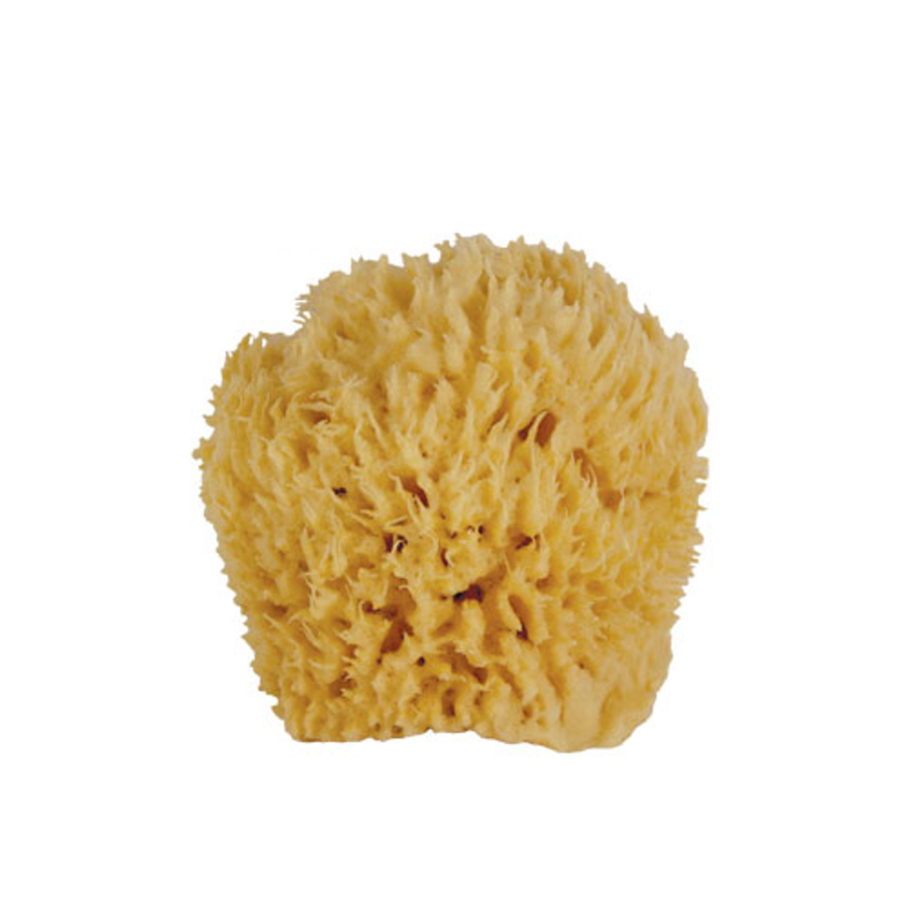 WHOA BABY! Ultra Soft & Gentle Small Sea Wool Bath Sponge