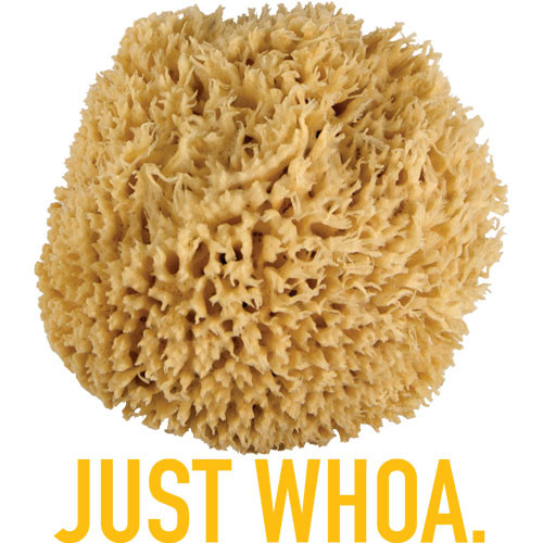 WHOA. Ultra Soft & Really Really Big Sea Wool Bath Sponge