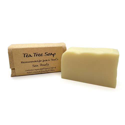 Stinky Lewis' Handmade Bar Soap for Sea Sponges