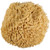 Just Whoa. Ultra Soft & Really Really Big Wool Sea Sponge 6-7"