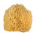 Whoa Daddy! Ultra Soft & Manly Large Wool Sea Sponge 5-6"