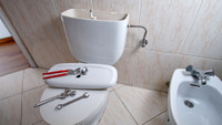 Why Is My Toilet Bubbling?