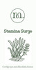 Mushify Stamina Surge 60ml