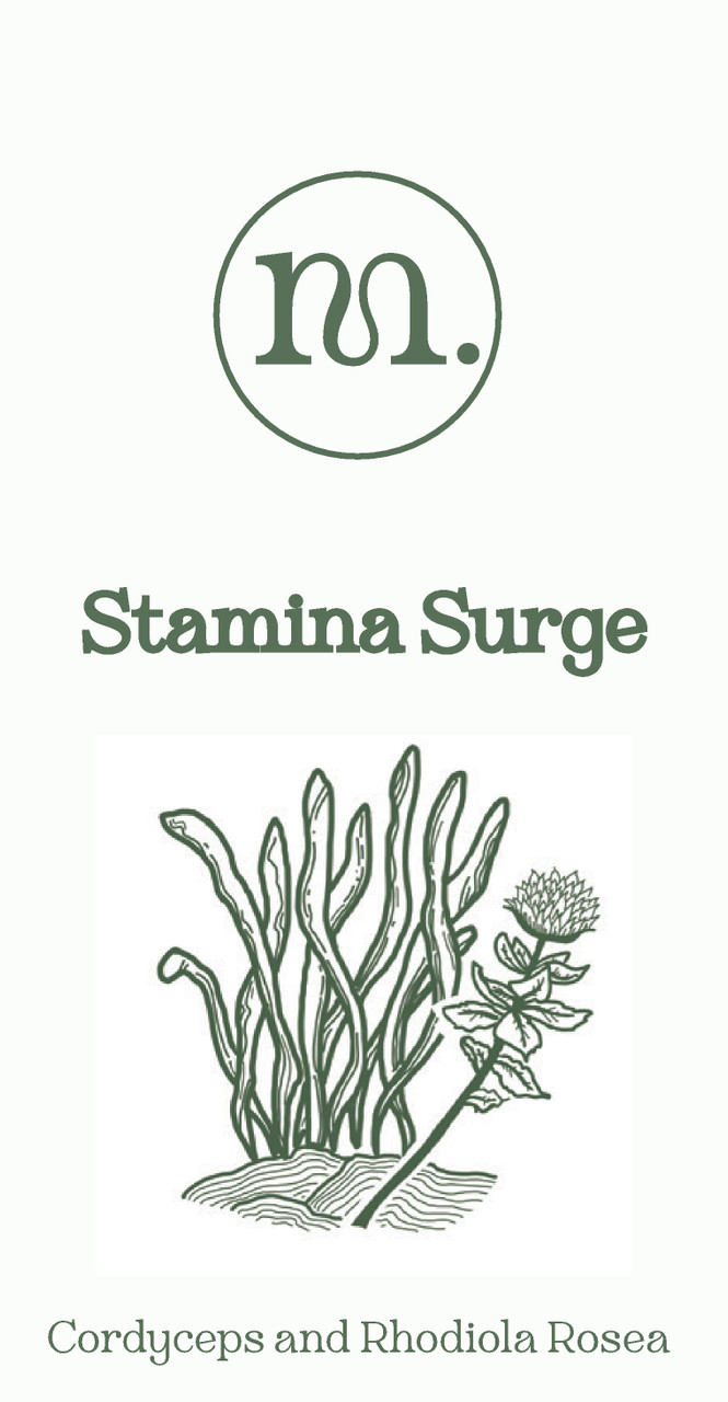 Mushify Stamina Surge 60ml