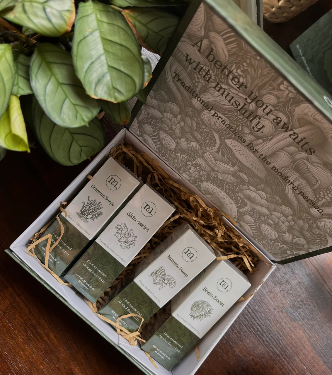 Mushify M4 Pack - Brain Boost 60ml, Immune Pump 60ml, Skin Assist 60ml, Stamina Surge 60ml