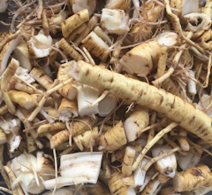 Marshmallow Root