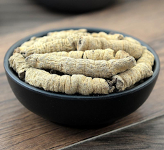 Morinda Root