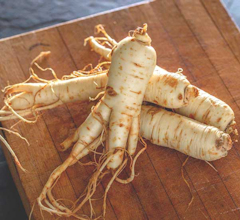 Siberian Gingseng