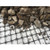 Geoworks SX2020 Biaxial Geogrid Close-up.