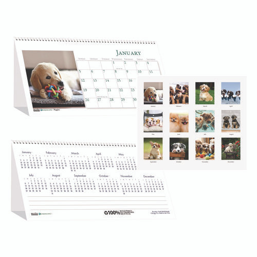 Earthscapes Recycled Desk Tent Monthly Calendar, Puppies Photography, 8.5 X 4.5, White Sheets, 12-month (jan To Dec): 2025