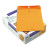 Quality Park Park Ridge Kraft Clasp Envelope - QUA43097