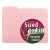 Interior File Folders, 1/3-cut Tabs: Assorted, Letter Size, 0.75" Expansion, Pink, 100/box