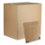 Evertec Curbside Recyclable Padded Mailer, #5, Kraft Paper, Self-adhesive Closure, 12 X 15, Brown, 100/carton