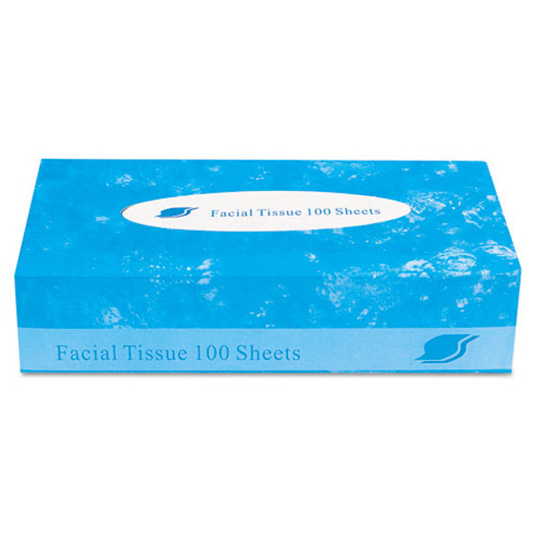 Boxed Facial Tissue, 2-ply, White, 100 Sheets/box, 30 Boxes/carton