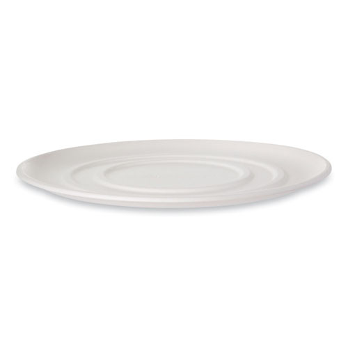 Worldview Molded Fiber Pizza Trays, 16 X 16 X 0.2, White, Sugarcane, 50/carton