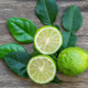 bergamot