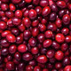 cranberry