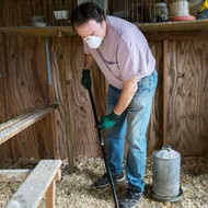 Why you should keep your Chicken Coop Clean