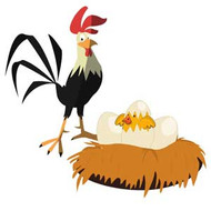 Do you need a Rooster to lay eggs?