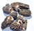 2oz Jar Dehydrated Morel Mushrooms