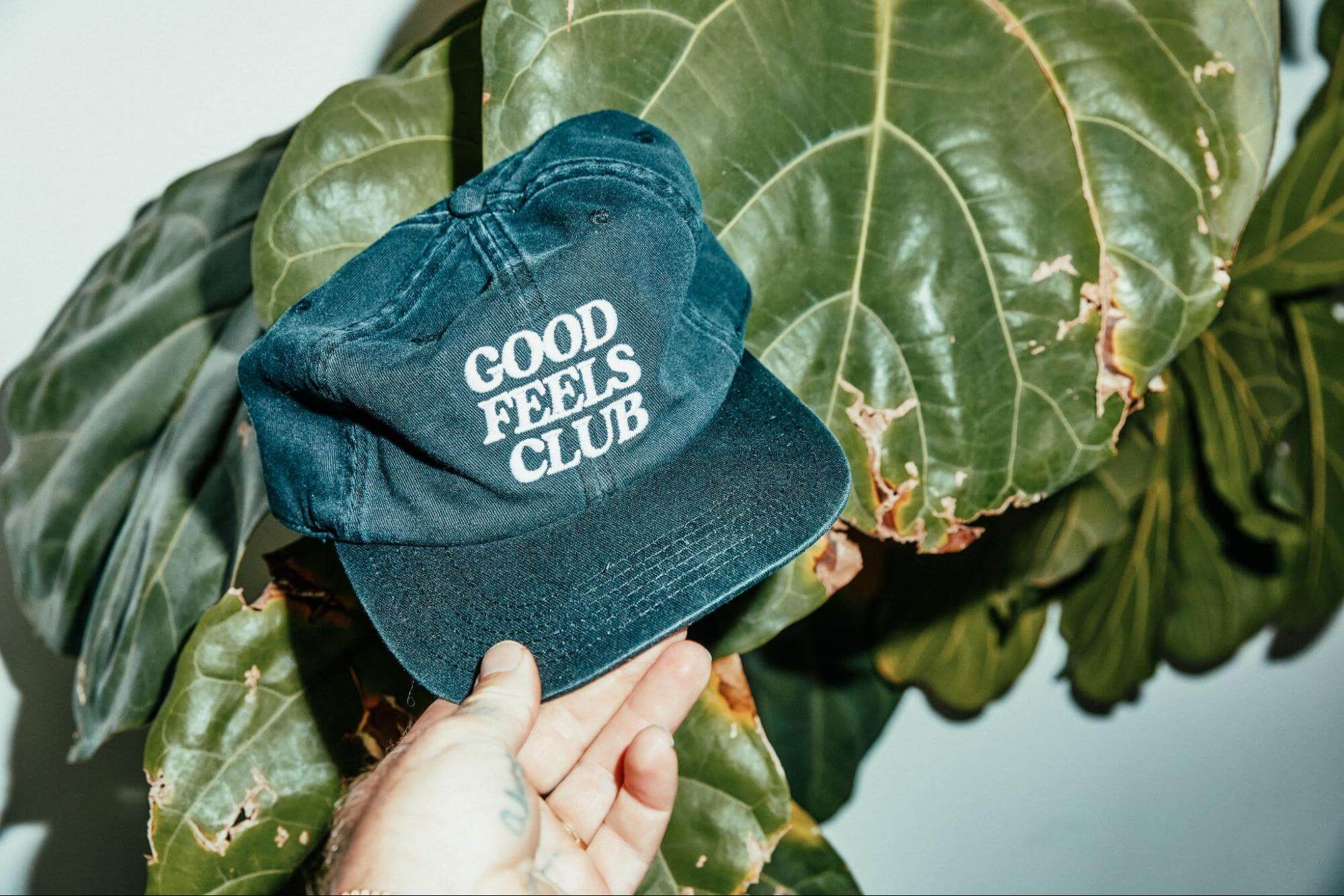 Earn Points for Rewards