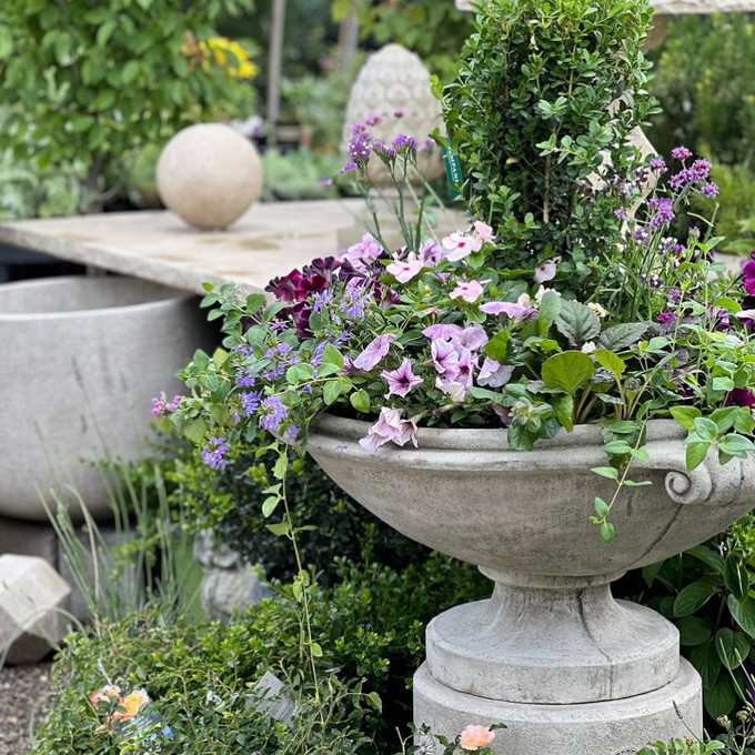 Why You Should Choose an Independent Garden Center Over a Big Box Store