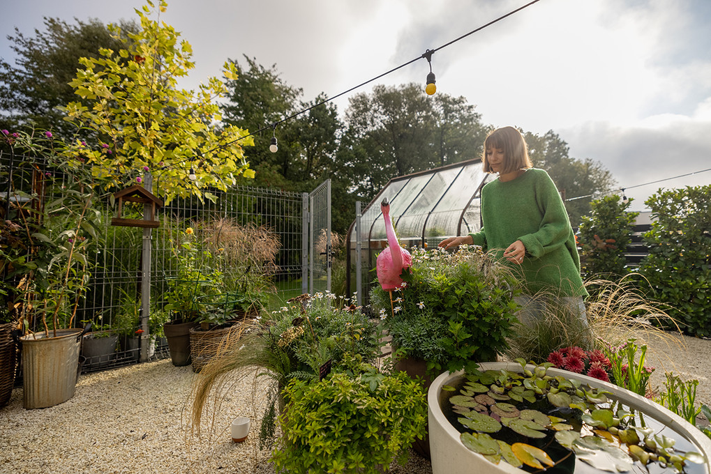 Fall Gardening-Putting the Garden to Bed