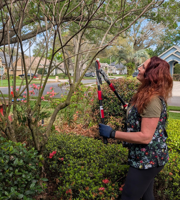 The 2026 Florida Freeze Took Half Our Garden — Here's What Helped