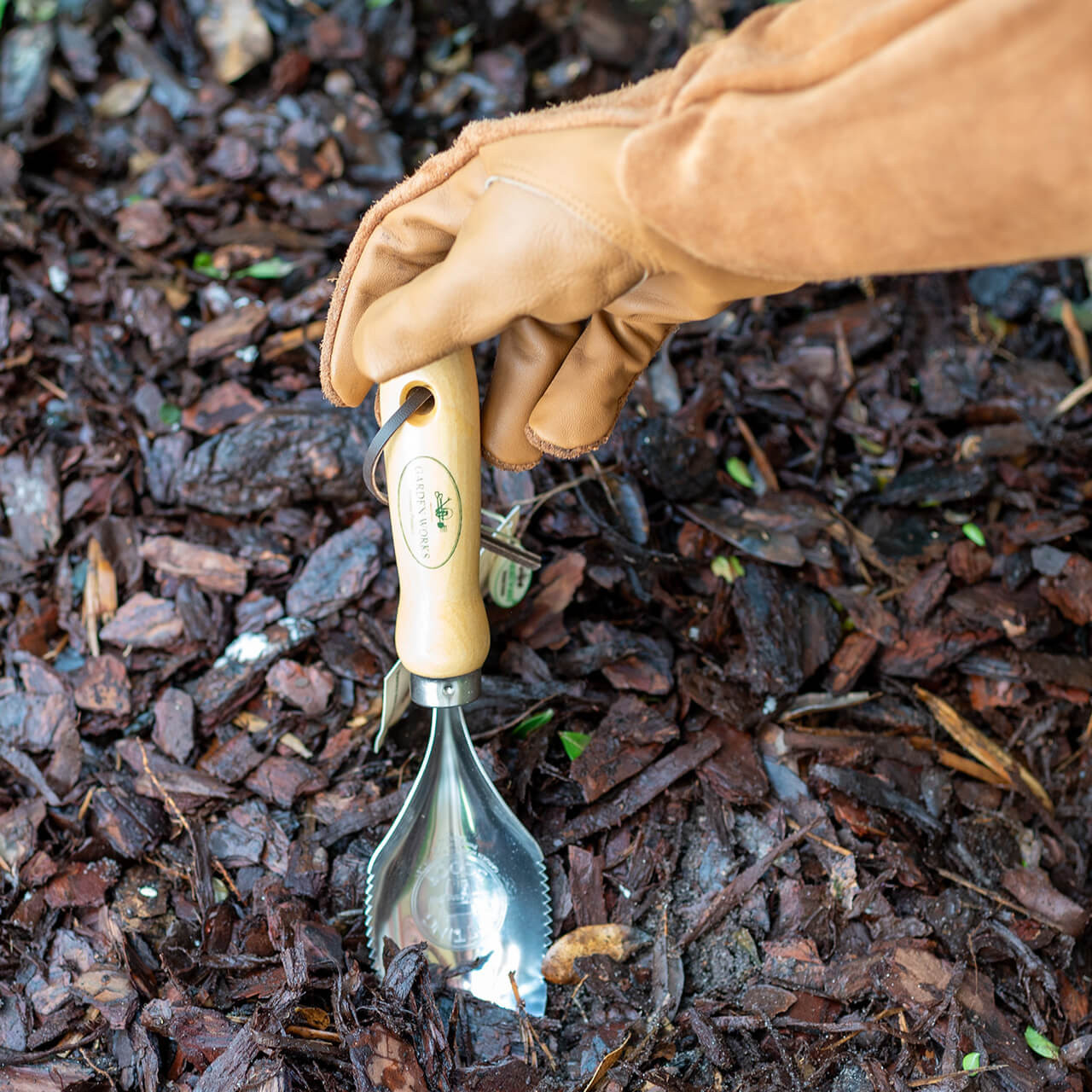 Potting Scoop - Thumbnail 3