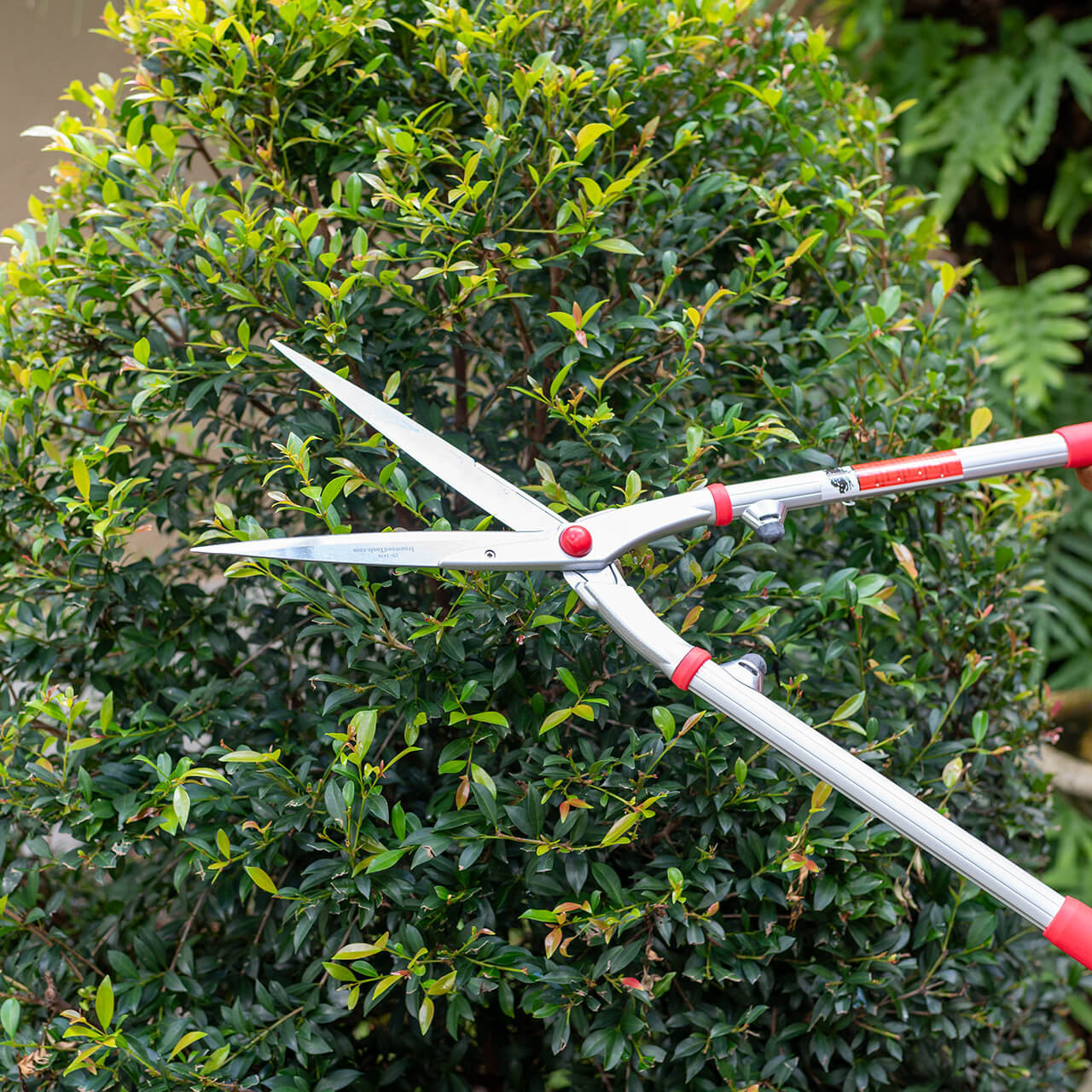 Ironwood Gourmet Hedge Shears