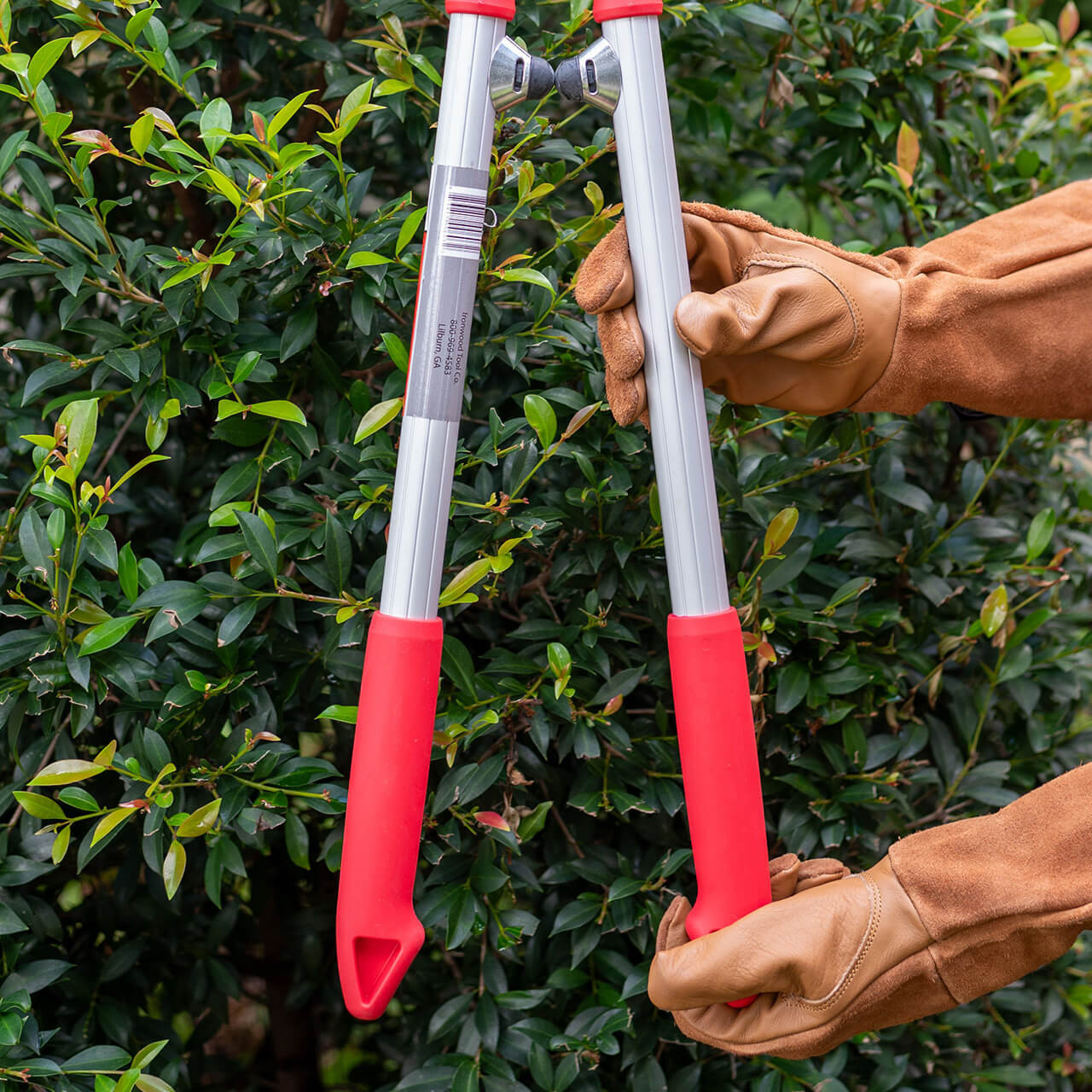 Ironwood Gourmet Hedge Shears - Thumbnail 2