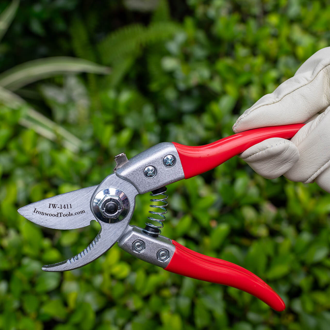 Ironwood Tools Quick Release Bypass Pruner - Thumbnail 3