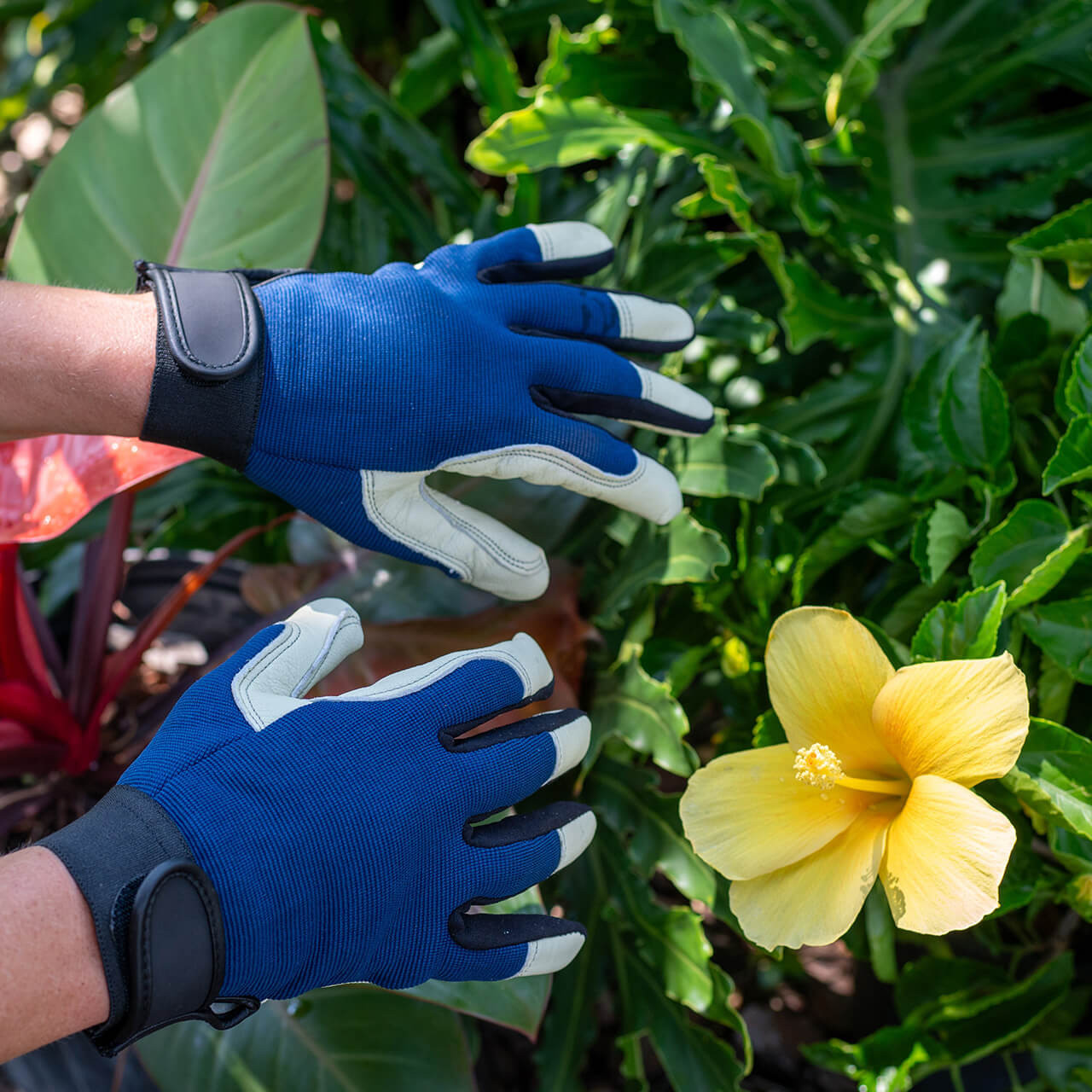 Traditions Gloves Navy | Garden Works
