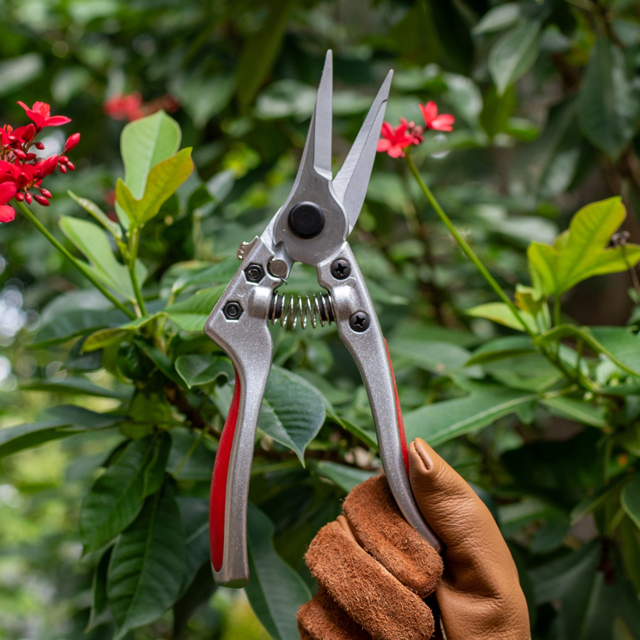 Ironwood Gourmet Needle Nose Secateurs - Thumbnail 2