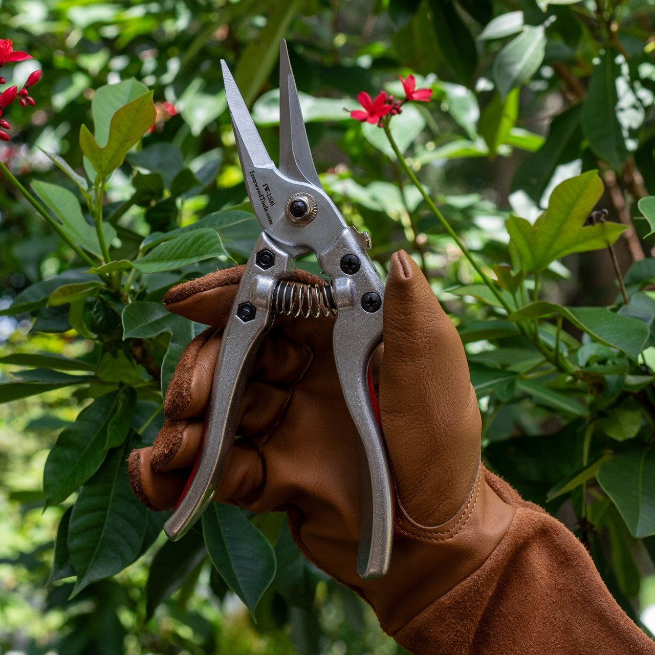 Ironwood Gourmet Needle Nose Secateurs