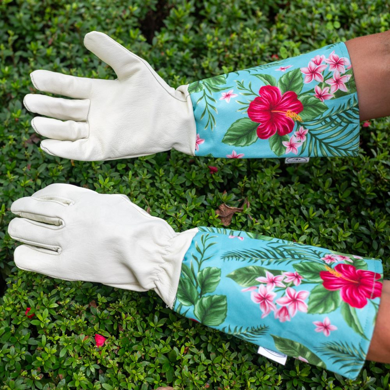 小物 amomento FINGERHOLE GLOVES Ossa™ SL Glove – Aniiu